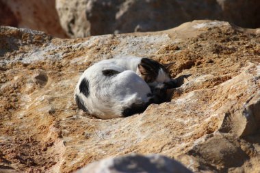 İsrail, Tel Aviv 'de bir gün