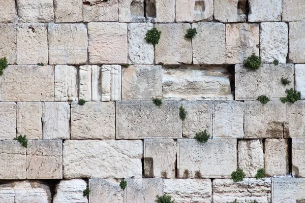 Bir gün Kudüs 'te, İsrail