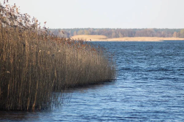 Rivière Dnipro Près Kiev — Photo