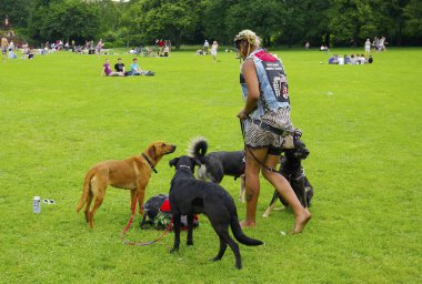 Dresden, Almanya 'da Seyahat (Bunte β blik Neustadt)