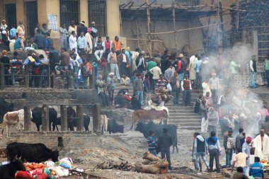 Hindistan 'ın kutsal şehri Varanasi.