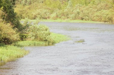 Ukrayna 'nın Nehirleri ve Doğası