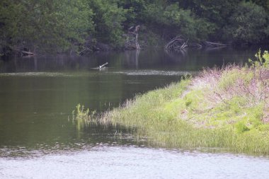Ukrayna 'nın Nehirleri ve Doğası