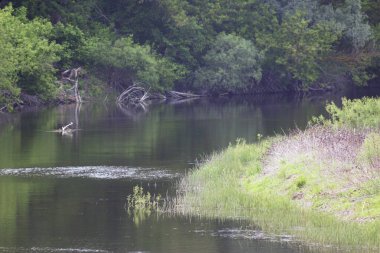 Ukrayna 'nın Nehirleri ve Doğası