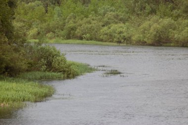 Ukrayna 'nın Nehirleri ve Doğası