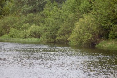 Ukrayna 'nın Nehirleri ve Doğası