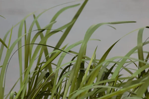 Ukrayna 'nın Nehirleri ve Doğası