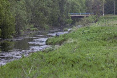 Ukrayna 'nın Nehirleri ve Doğası