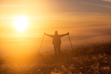 Bir kızla silüeti sabah sis sadık bir dost, bir köpek ile Trekking kutup spor. Manzara kompozisyon, arka plan dağlar ve gündoğumu.