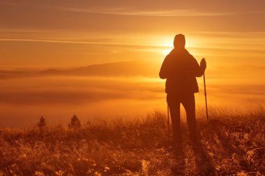 Bir kızla silüeti sabah sis sadık bir dost, bir köpek ile Trekking kutup spor. Manzara kompozisyon, arka plan dağlar ve gündoğumu.