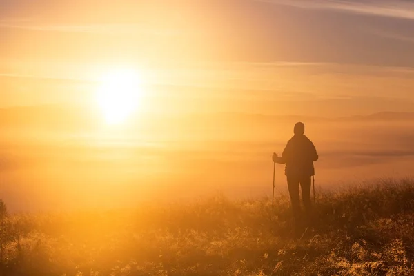 女の子のシルエットは、忠実な友人、犬と朝の霧でトレッキング ポールを遊ばします。景観の構成、背景の山々 と日の出. — ストック写真