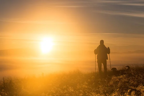 Silueta dívky s sportovní Trekking pól v ranní mlze s věrným přítelem, psa. Krajinná kompozice, pozadí hory a východ slunce. — Stock fotografie