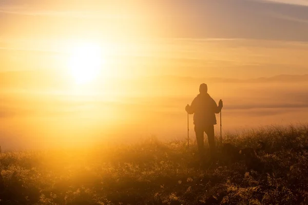 Silhouette of a girl with sports Trekking pole in the morning mist with a loyal friend, a dog. Landscape composition, background mountains and sunrise. — Stock Photo, Image