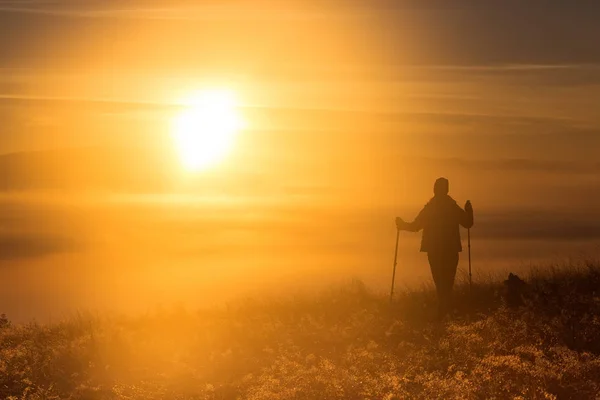 Silhouet van een meisje met sport Trekking pole in de ochtend mist met een trouwe vriend, een hond. Samenstelling van het landschap, achtergrond bergen en zonsopgang. — Stockfoto