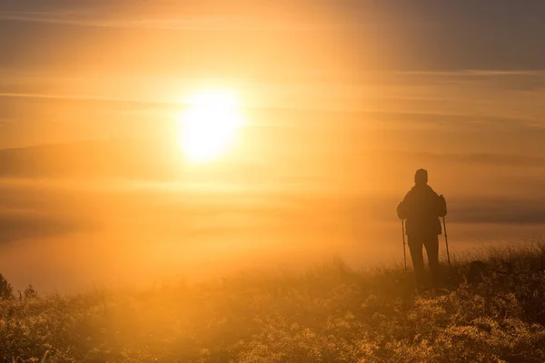 Silueta de una chica con polos deportivos Trekking en la niebla de la mañana con un amigo leal, un perro. Composición del paisaje, montañas de fondo y amanecer . —  Fotos de Stock