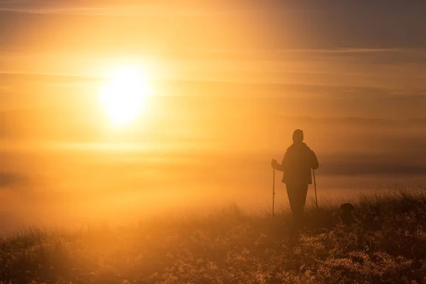 Silhouet van een meisje met sport Trekking pole in de ochtend mist met een trouwe vriend, een hond. Samenstelling van het landschap, achtergrond bergen en zonsopgang. — Stockfoto