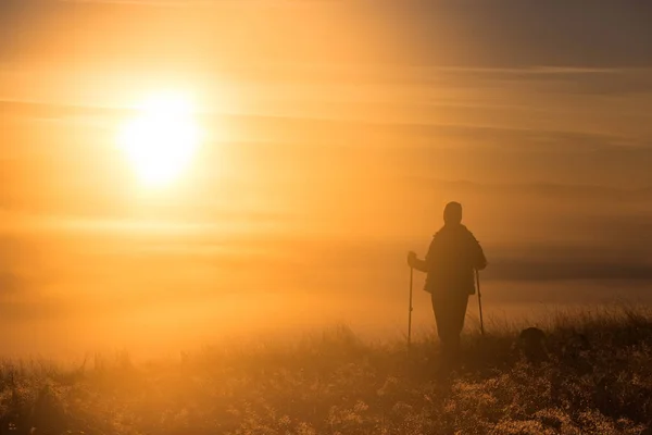 Silueta de una chica con polos deportivos Trekking en la niebla de la mañana con un amigo leal, un perro. Composición del paisaje, montañas de fondo y amanecer . —  Fotos de Stock