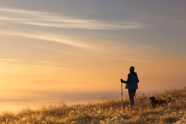 Silhouette d'une fille avec un bâton de trekking sportif dans la brume du matin avec un ami fidèle, un chien. Composition du paysage, montagnes de fond et lever du soleil . — Photo