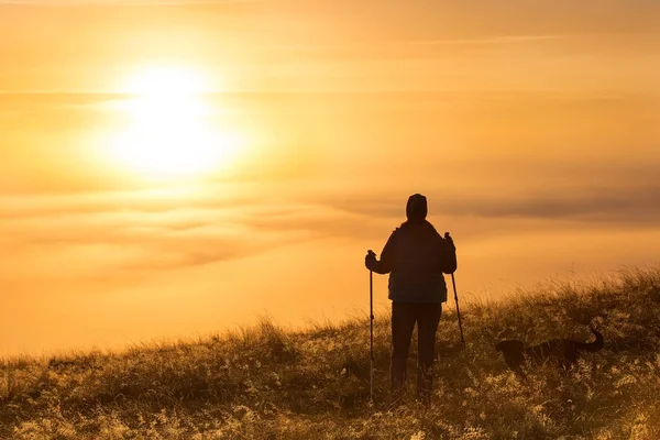 Silhouette d'une fille avec un bâton de trekking sportif dans la brume du matin avec un ami fidèle, un chien. Composition du paysage, montagnes de fond et lever du soleil . — Photo