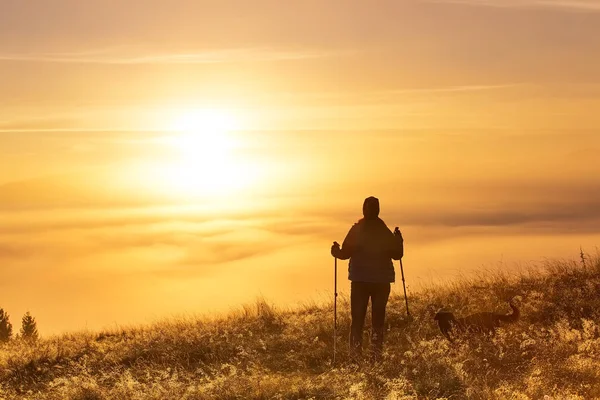 Silueta de una chica con polos deportivos Trekking en la niebla de la mañana con un amigo leal, un perro. Composición del paisaje, montañas de fondo y amanecer . — Foto de Stock