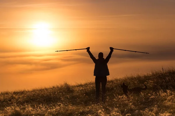 Siluet seorang gadis dengan tiang olahraga Trekking di kabut pagi dengan teman setia, anjing. Komposisi lansekap, pegunungan latar belakang dan matahari terbit . — Stok Foto