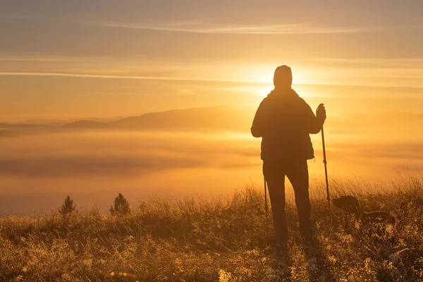 Silhouet van een meisje met sport Trekking pole in de ochtend mist met een trouwe vriend, een hond. Samenstelling van het landschap, achtergrond bergen en zonsopgang. Stockafbeelding