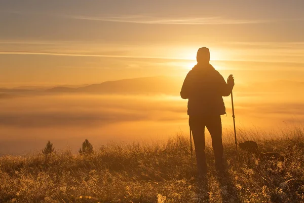 Silhueta de uma menina com esportes Trekking pólo na névoa da manhã com um amigo leal, um cão. Composição da paisagem, montanhas de fundo e nascer do sol . Imagens De Bancos De Imagens Sem Royalties