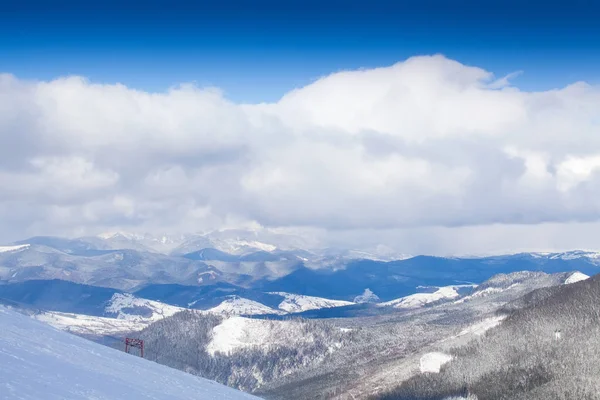 Vinter rimfrost och snö täckta julgranar på bergssidan — Stockfoto