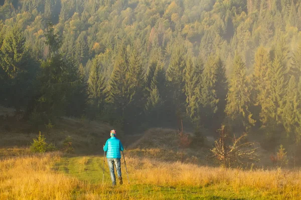 Meisje met hond gaat langs een bergpad onder x bos Trekking pole in de ochtend mist. Samenstelling van het landschap, achtergrond bergen en zonsopgang. — Stockfoto