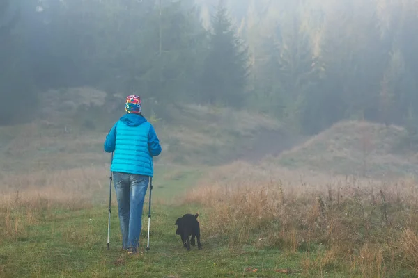 Flicka med hund går längs en bergsstig bland x skogen Trekking pol i dimma på morgonen. Liggande sammansättning, bakgrund berg och soluppgång. — Stockfoto