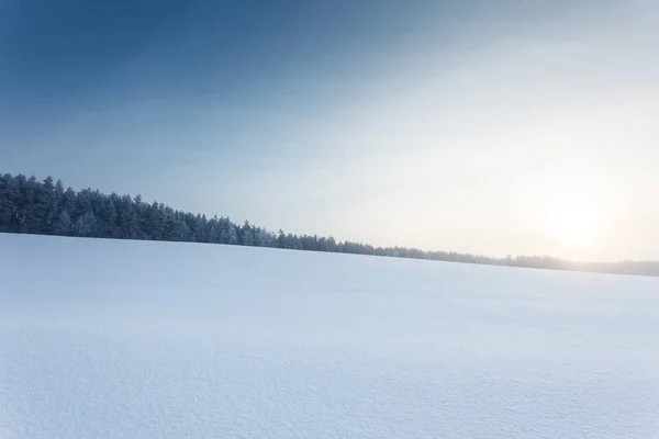 Paisaje invernal con el bosque y el sol — Foto de Stock