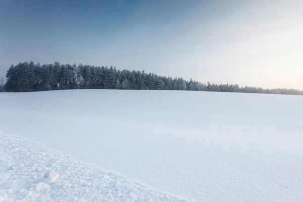 Winterlandschap met het bos en de zon — Stockfoto