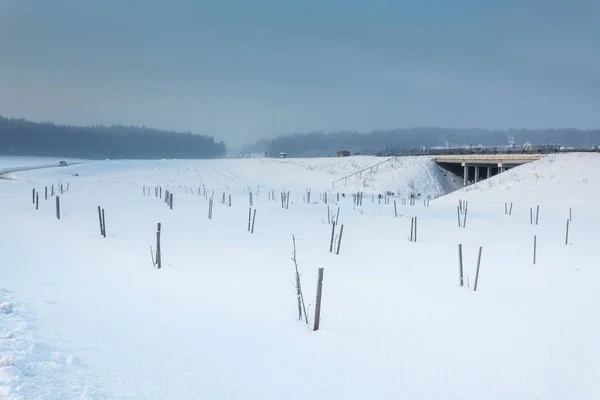 Vinterlandskap med väg och bro — Stockfoto