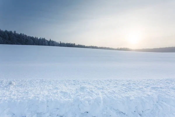 Zimowy pejzaż z lasu i słońce — Zdjęcie stockowe