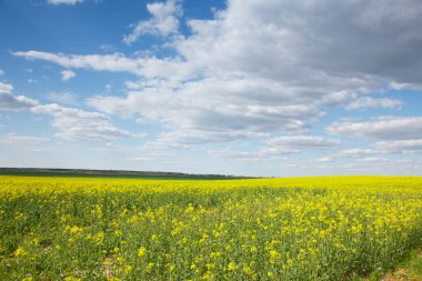 İlkbaharda kırsal alan