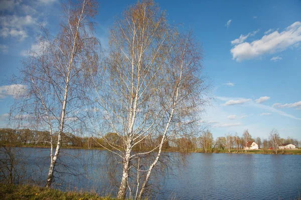 Vårlandskap Nära Floden — Stockfoto