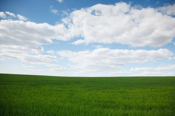 Paisaje Rural Primavera — Foto de Stock