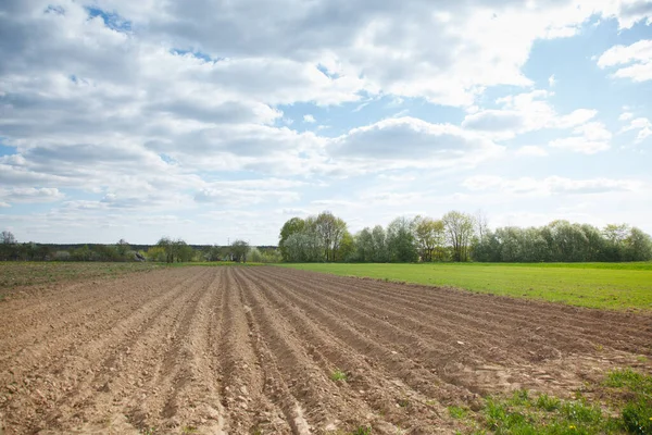 Paisaje Rural Primavera — Foto de Stock