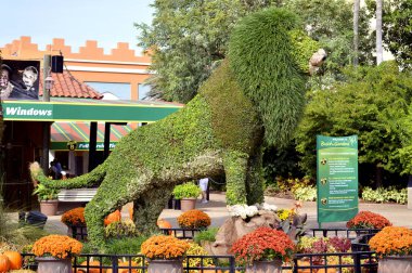 Busch Gardens bahçevan aslan