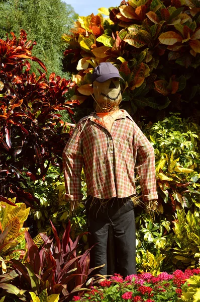 Scarecrow in a garden — Stock Photo, Image