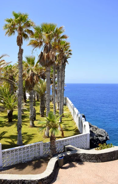 Callao Salvaje coast in Adeje Tenerife — Stock Photo, Image