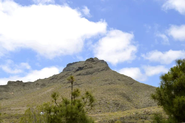 Boca Tauce a Mount Teide Nemzeti Park — Stock Fotó