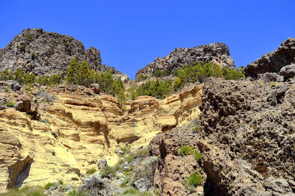 Boca Tauce w Parku Narodowego Teide — Zdjęcie stockowe