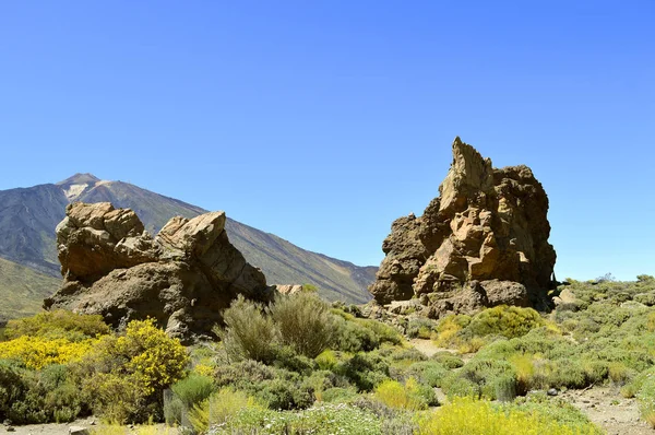 Národní park Mount Teide — Stock fotografie