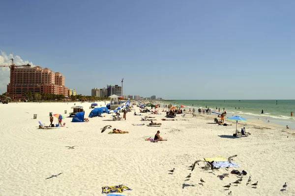 clearwater beach Florida otelleri