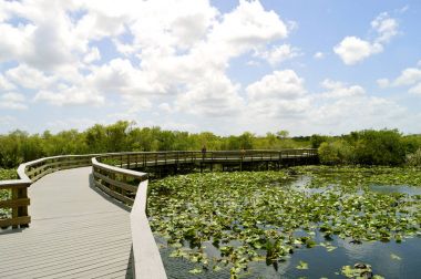 Everglades National Park clipart