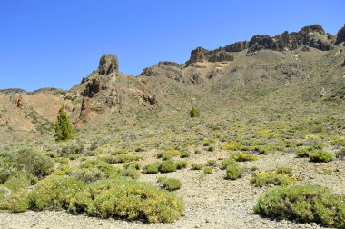 Boca Tauce Mount Teide Milli Parkı'nda