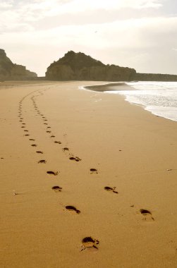 Albufeira beach Kumdaki