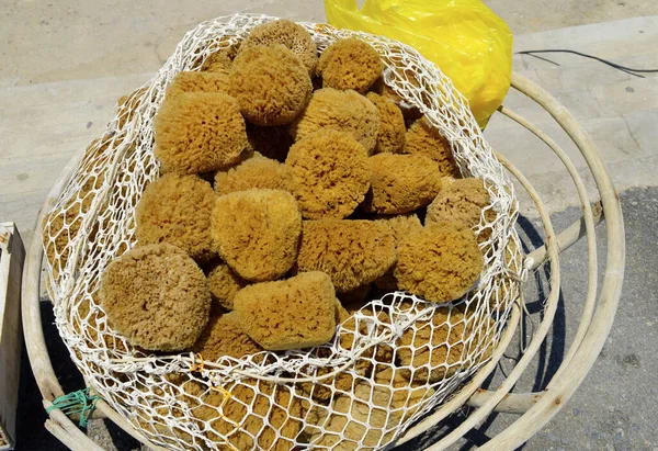 Sac Éponges Naturelles Fraîchement Capturées Dans Port Héraklion — Photo