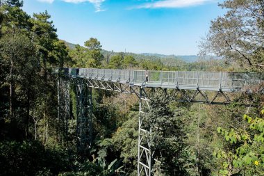 Canopy walkway located at the impressive Queen Sirikit Botanic G